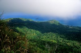 Archipel-des-Comores;-Brume;-Côte;-Forêt;-France;-Herbes;-Îlot;-Kaleidos;-Kaleidos-images;-La-parole-à-limage;-Laurent-Abad;-Mayotte;-Océan-Indien;-Paysage;-Stories-Pictures;-Vue-en-surplomb